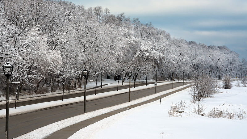 *** Winter ***, nature, roud, snow, winter, HD wallpaper