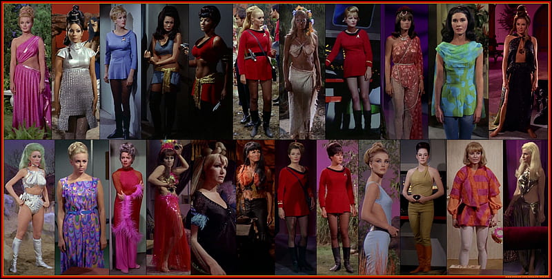 Some of the Women From Star Trek: The Original Series - Season Two, TOS, Women of Star Trek, Star Trek, Original Star Trek Women, HD wallpaper