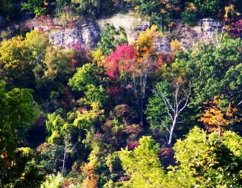 Escarpment, autumn, trees, HD wallpaper