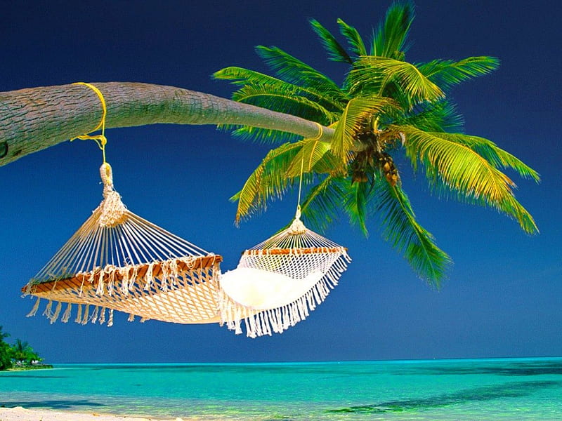 Simply inviting Maldives, exotic, inviting, ocean, bonito, emerald, hammock, poalms, palm trees, sea, maldives, nature, horizons, island, tropics, tropical, blue, HD wallpaper