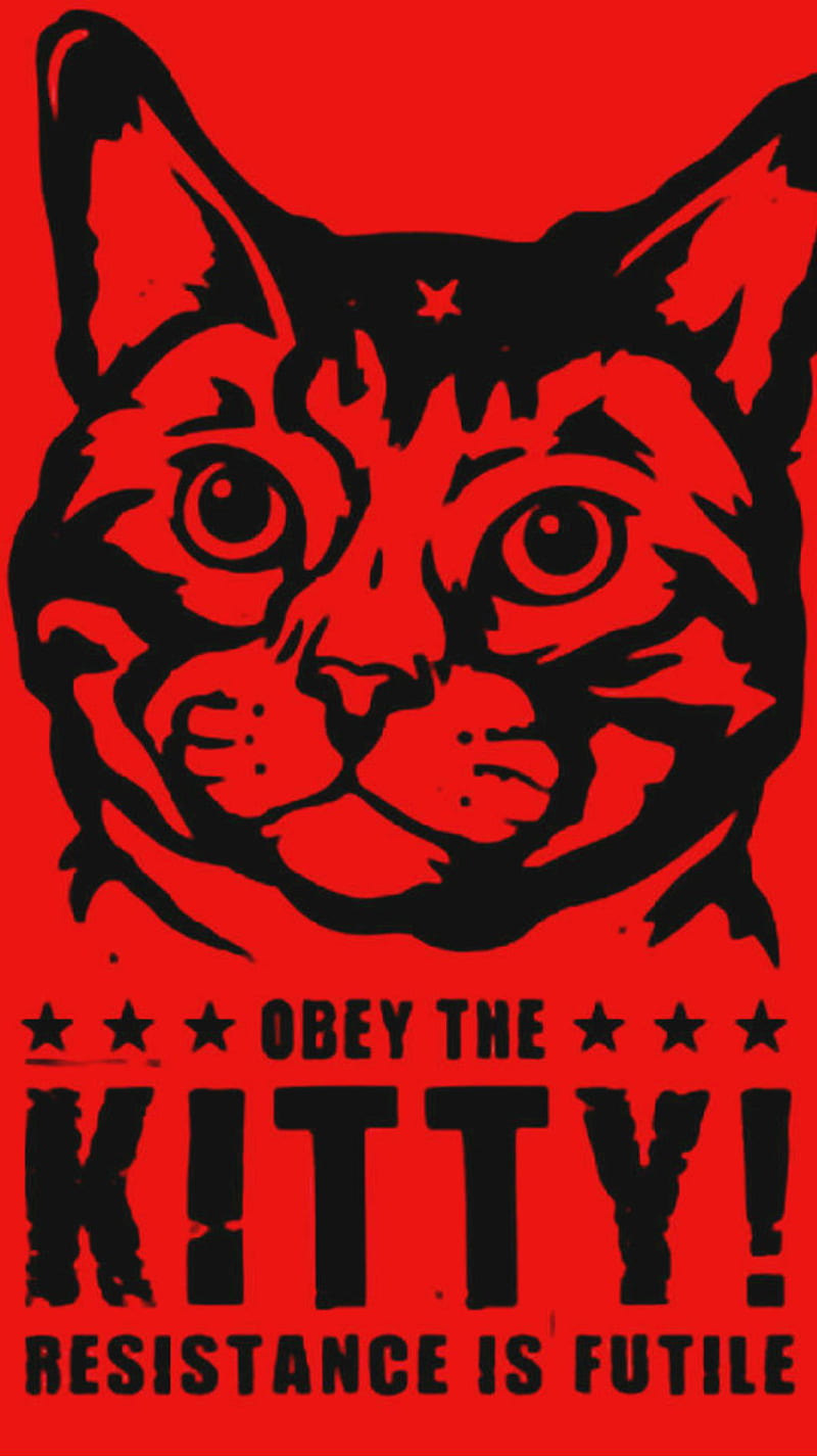 Obey the Kitty, cat, cute, funny, fury, haha, kitten, lol, meow, pet, purr, HD phone wallpaper