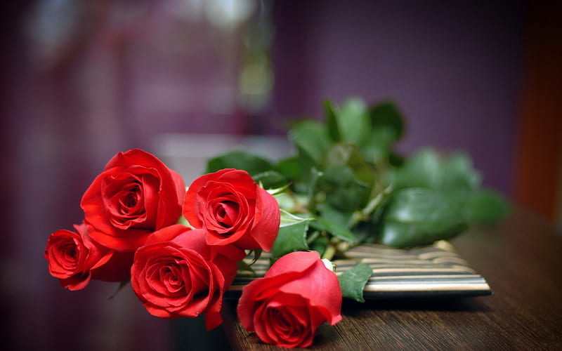 *** Bunch of red roses ***, piekne, kwiaty, roze, nature, HD wallpaper