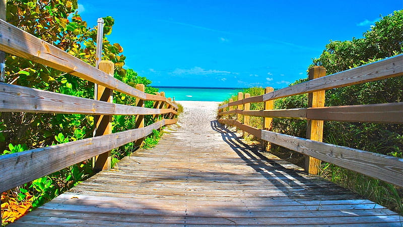 Path to Miami Beach ☀️, path, beach, nature, miami, HD wallpaper