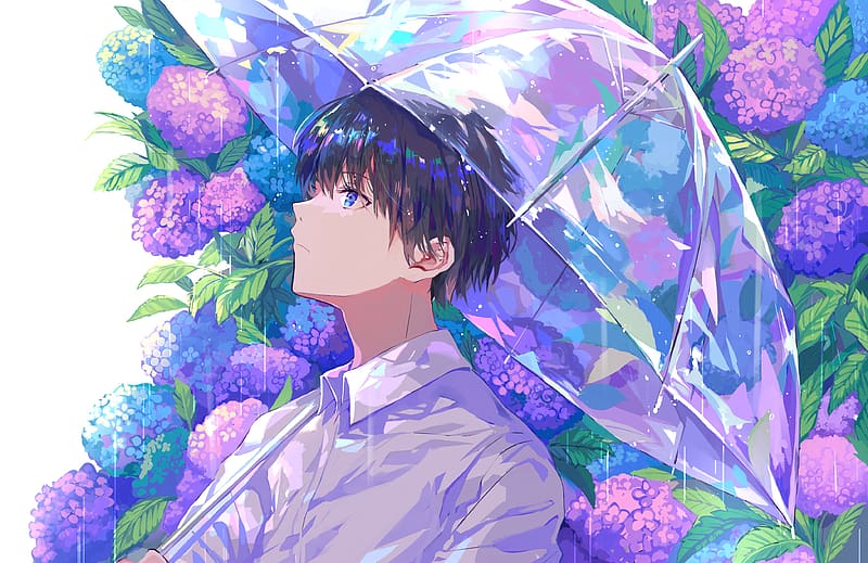 Anime, Rain, Flower, Umbrella, Boy, HD wallpaper