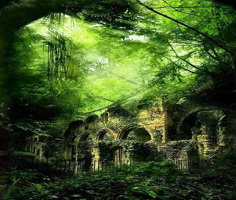 Lost In The Green Forest Aged Green Plants Ruins Trees Hd