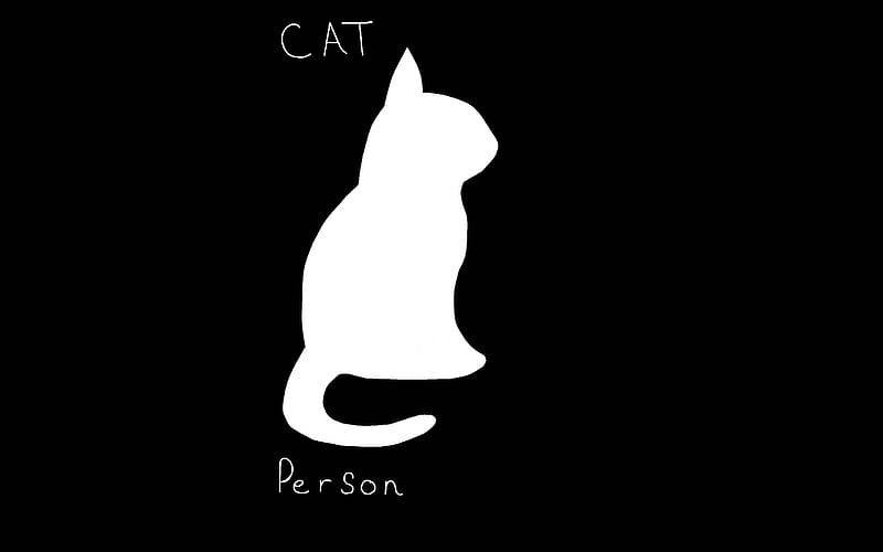 Cat Person, cat people, cats, white cat, HD wallpaper