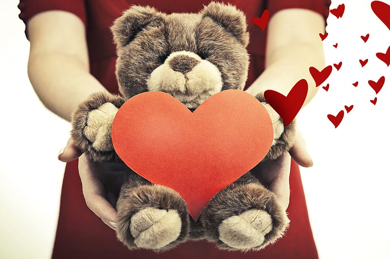 For You Red Toy Valentine Woman Cute Love Heart Hand Teddy Bear Hd Wallpaper Peakpx