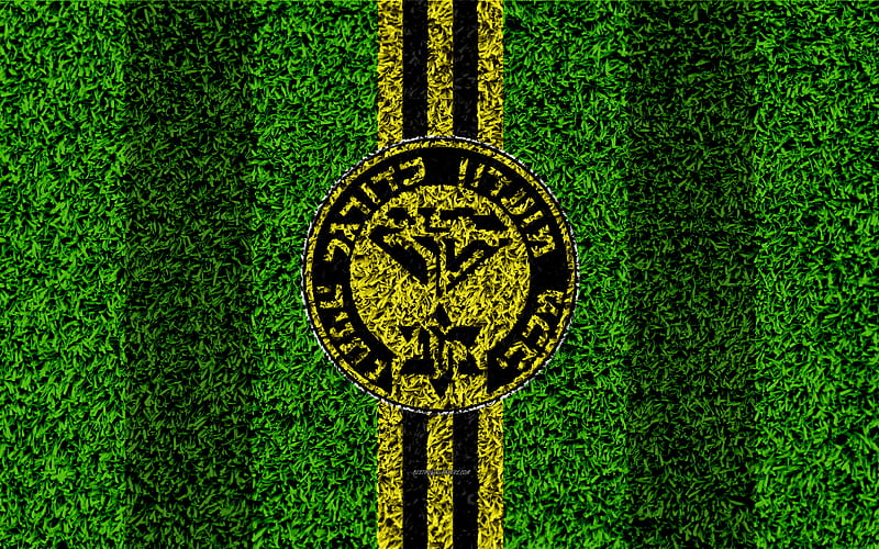 Maccabi Netanya FC emblem, football lawn, logo, Israeli football club, yellow black lines, grass texture, Netanya, Israel, football, Israeli Premier League, HD wallpaper