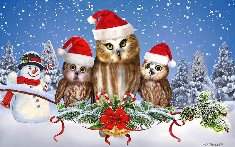 Festive Owls, cute, festive, christmas, holiday, Owls, Snow, snowman, winter, HD wallpaper
