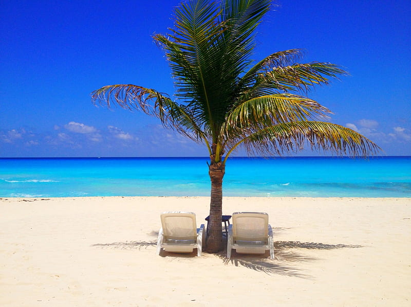 Beach Chairs and Palm Tree on a Cancun Beach, oceans, paradise, beaches, chairs, nature, palms, HD wallpaper