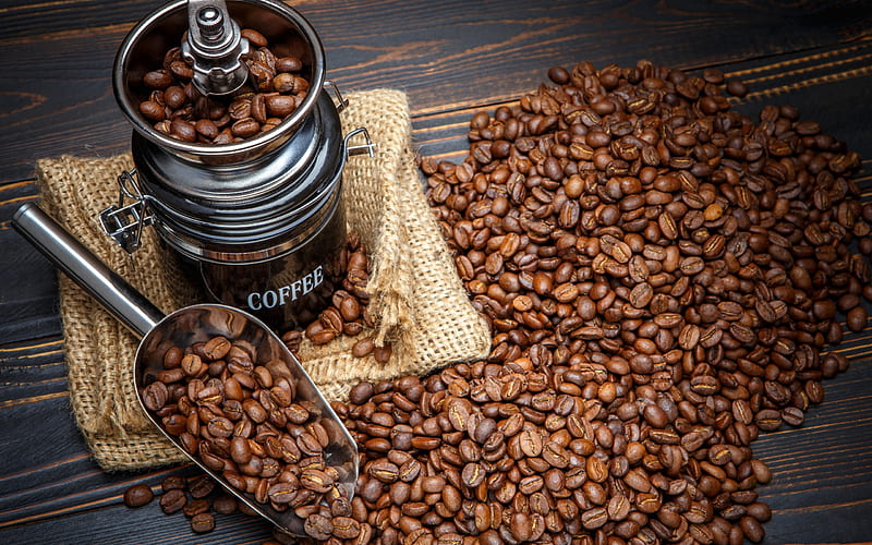 Coffee beans, cup, coffee mill, morning, coffee, HD wallpaper