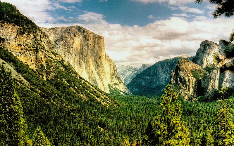 Yosemite Valley, woods, bonito, clouds, valley, yosemite, leaves, splendor, green, beauty, yosemite national park, forest, lovely, view, sky, trees, tree, mountains, peaceful, nature, landscape, HD wallpaper