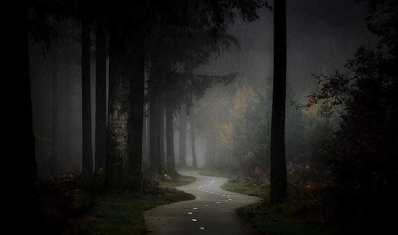 Dark Path, path, nature, trees, dark, HD wallpaper