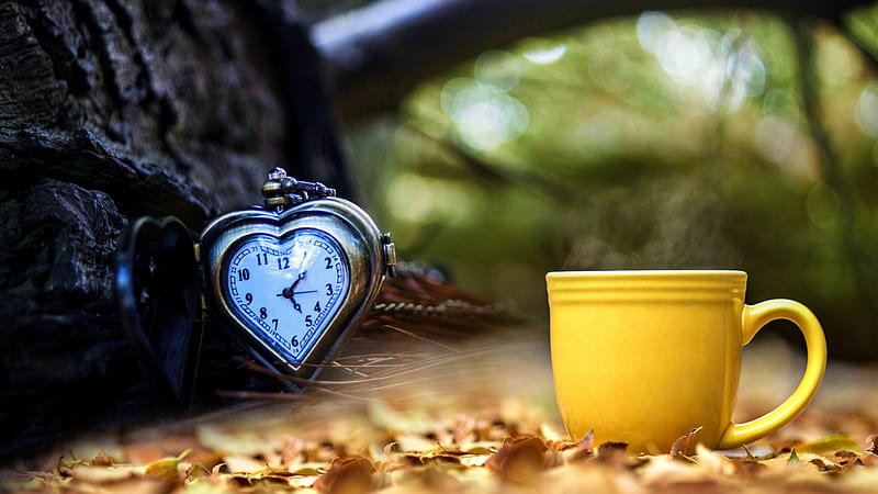 It's 5 in the afternoon, time for coffee :), autumn, time, yellow, clock, afternoon, tree, leaves, coffee, heart, cup, hot, drink, season, HD wallpaper