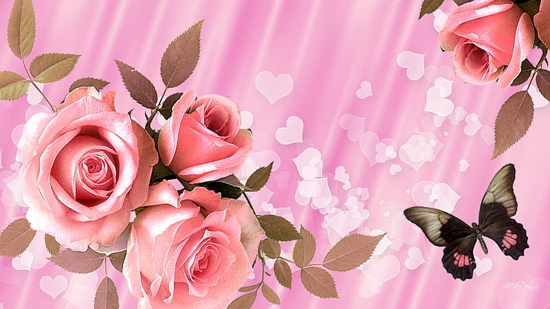 Pink Roses for Valentine, valentines day, butterfly, romantic, summer, flowers, roses, corazones, pink, HD wallpaper