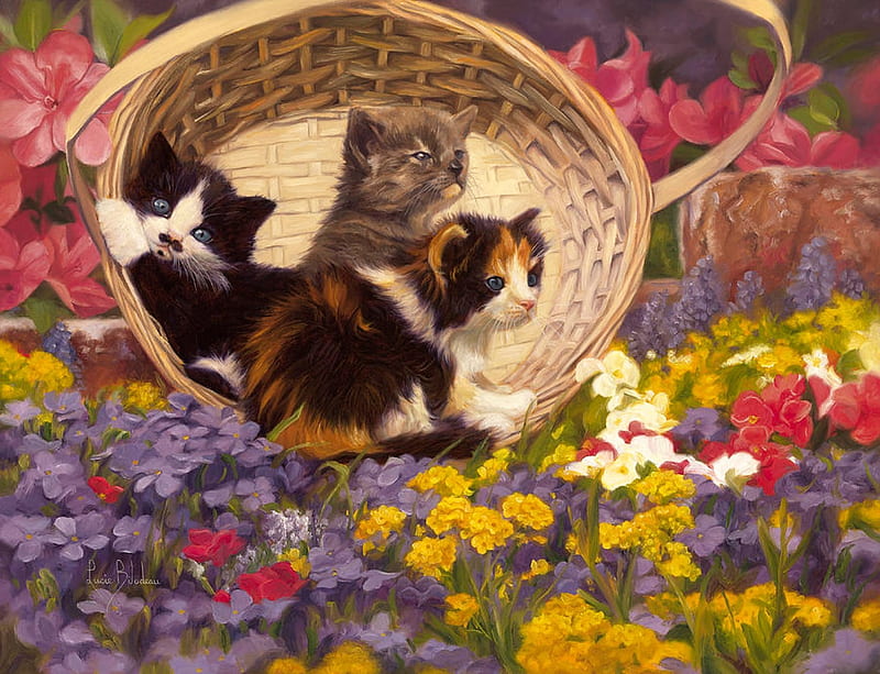 Three young Kitten, young, paint, flower, cat, animal, HD wallpaper
