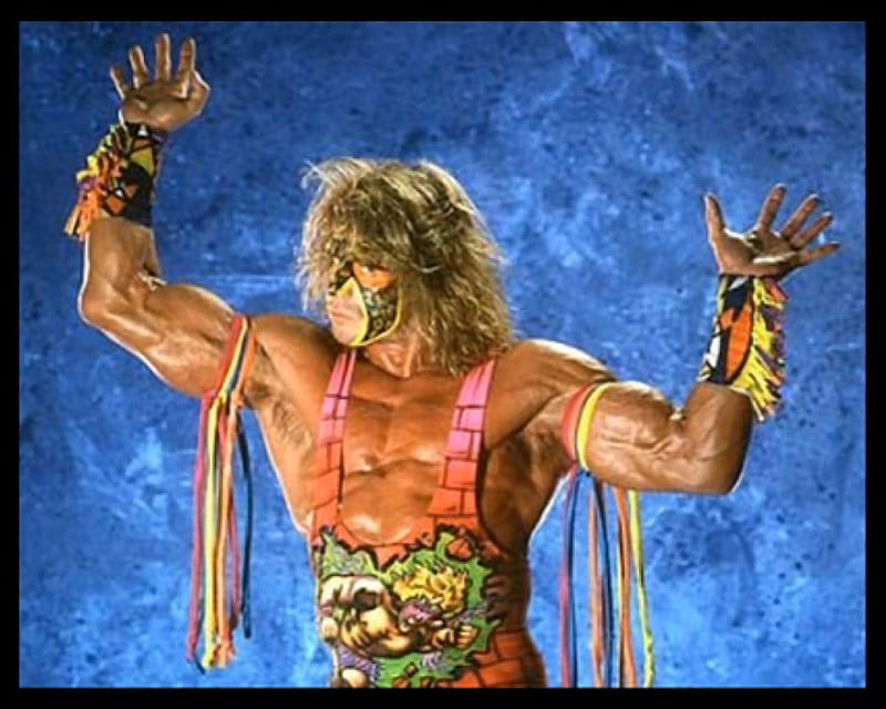 WWF The Ultimate Warrior, John Cena, Hulk Hogan, WWF, WWE, HD wallpaper