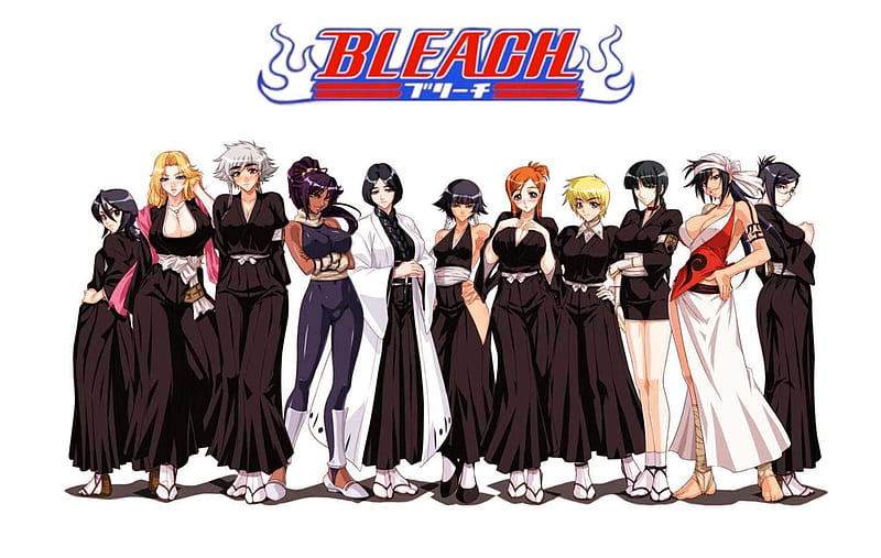 Girls Bleach, anime, battles, power, girls, wall, sexy, HD wallpaper
