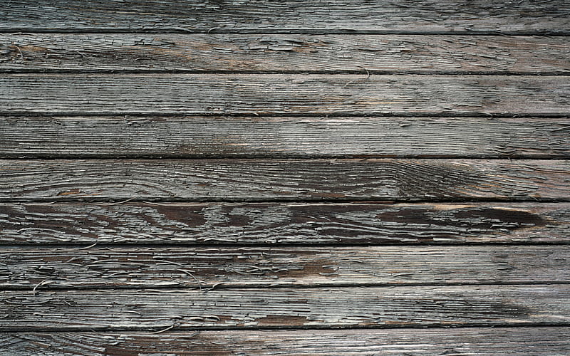 vertical wooden boards, macro, gray wooden texture, wooden backgrounds, gray wooden boards, wooden planks, gray backgrounds, wooden textures, HD wallpaper