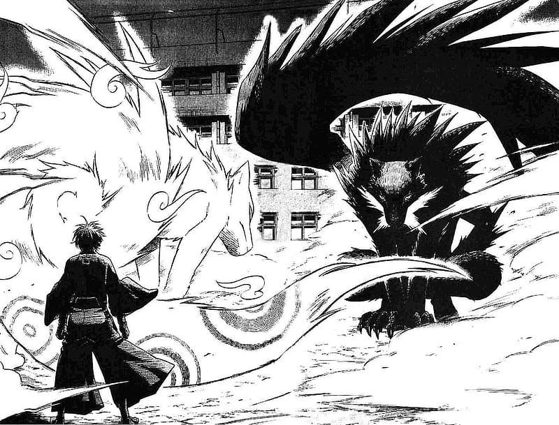 Kekkaishi, manga, black, school, demon, yoshimori, madarao, anime, fight, white, dog, HD wallpaper