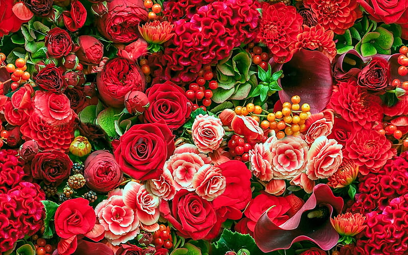 Flowers, red, green, flower, skin, carpet, pink, HD wallpaper
