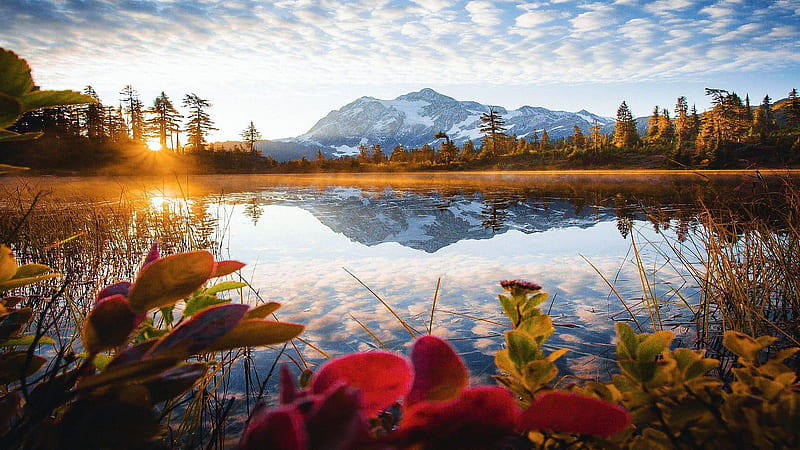 Lake, Washington, water, usa, mountains, plants, clouds, sky, reflection, landscape, HD wallpaper