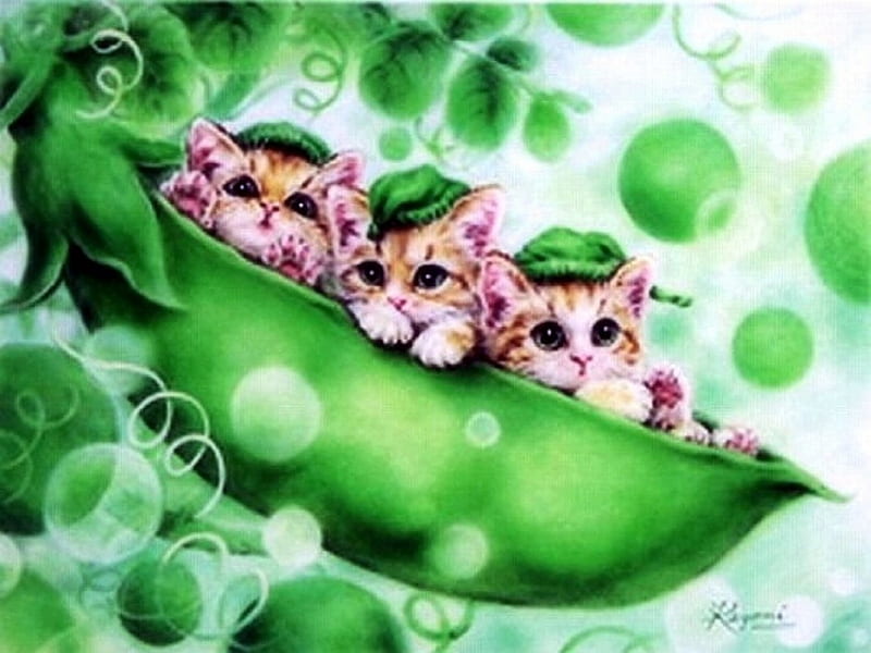 ..Peapod Babies.., pretty, draw and paint, adorable, seasons, paintings, green, peapod babies, animals, lovely, love four seasons, kittens, creative pre-made, dogs and cats, cute, weird things people wear, summer, cats, beloved valentines, HD wallpaper