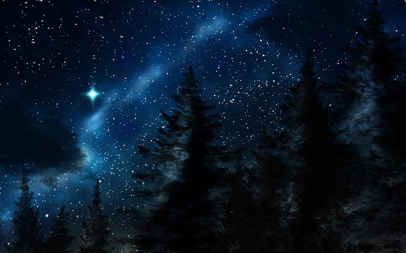 Pine Tree Forest on Starry Winter Night, Stars, Nights, Forests, Nature, Winter, HD wallpaper