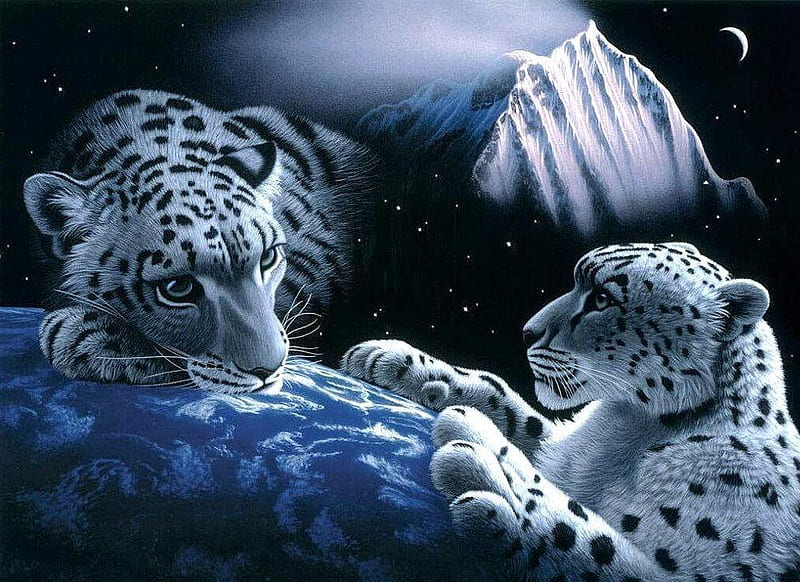 White tigers art space, tigers, tiger animal, mountain, moon animals, night, stars, art, wall, digital, earth, white, HD wallpaper