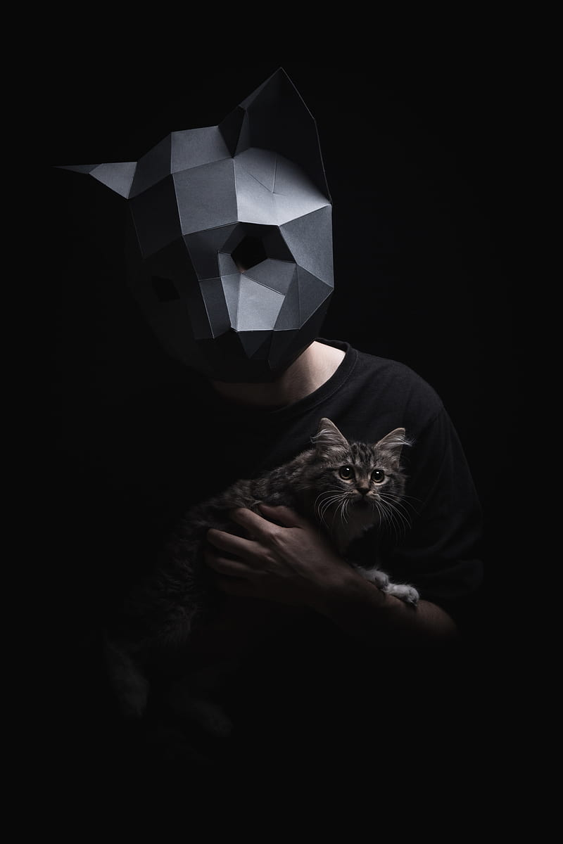 3d-mask, mask, cat, dark, surround, HD phone wallpaper