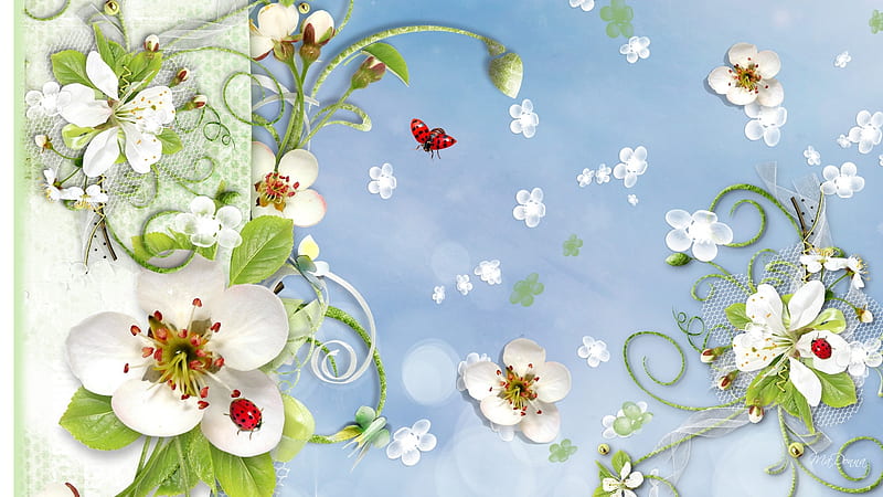 Spring Delicacy, border, spring, floral, net, blossoms, flowers, vines, ladybugs, Firefox Persona theme, HD wallpaper