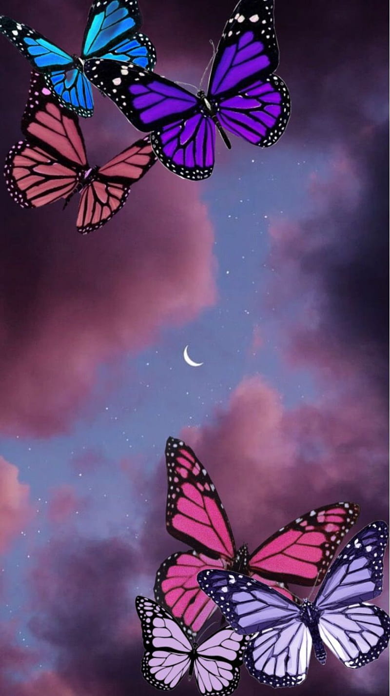 Butterfly . Butterfly, Butterfly background, Small Butterflies, HD phone  wallpaper | Peakpx