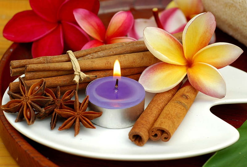 FENG SHUI, LIGHT, SEED, CINAMMON, CANDLE, ANISE, SPA, HD wallpaper