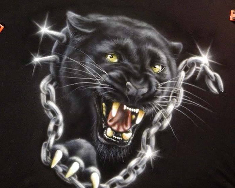 HD black panther animal wallpapers | Peakpx