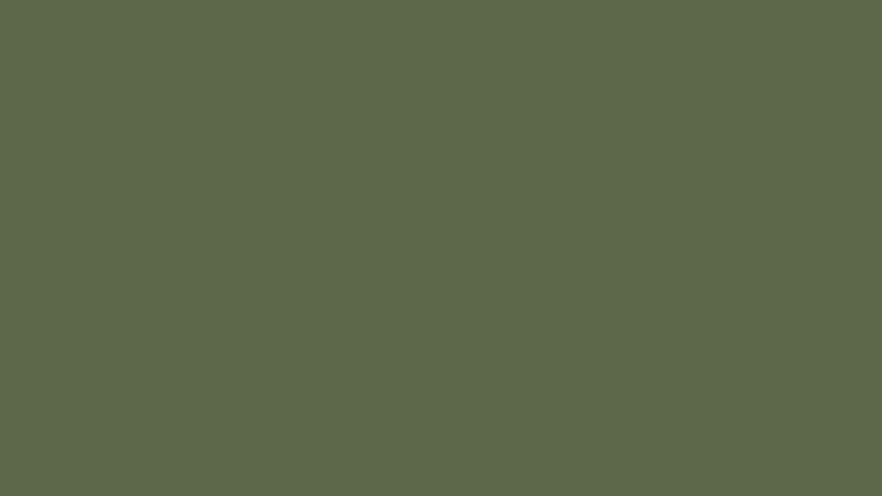 Dark Green plain green HD wallpaper  Pxfuel