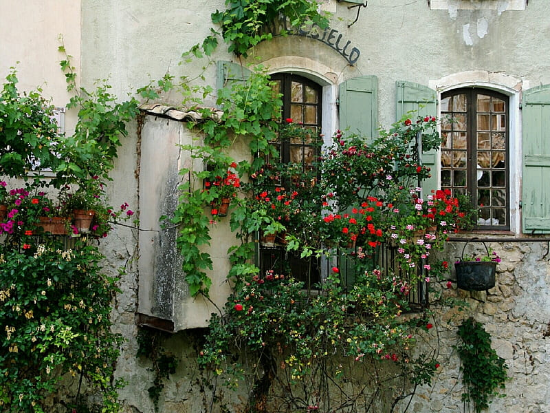 moustiers ste marie, flowers, wall, HD wallpaper