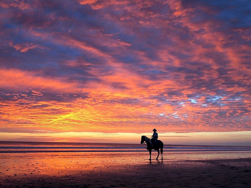 Cowboy Riding on the Shoreline at Sunset, Sky, Orange, beach, Cowboy, Sunset, Water, Horse, Horizon, Clouds, Reins, Waves, Colors, Blue, Sand, Purple, bonito, Man, Glow, Red, HD wallpaper