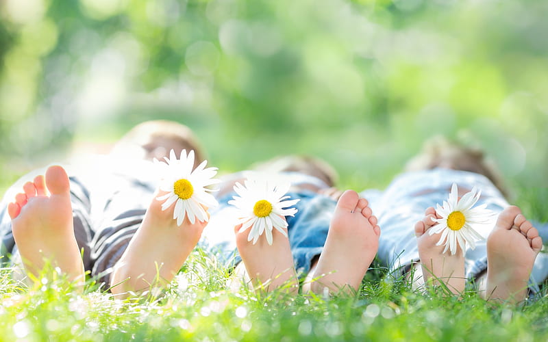 Summer, children, vara, green, feet, flower, copil, foot, white, daisy, blue, HD wallpaper