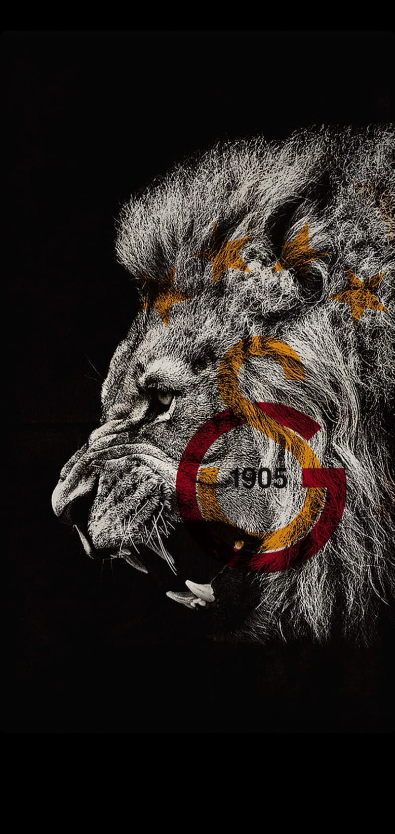 Galatasaray, aslan, dragon, dragons, gs leon, owl, owls, black, HD phone wallpaper