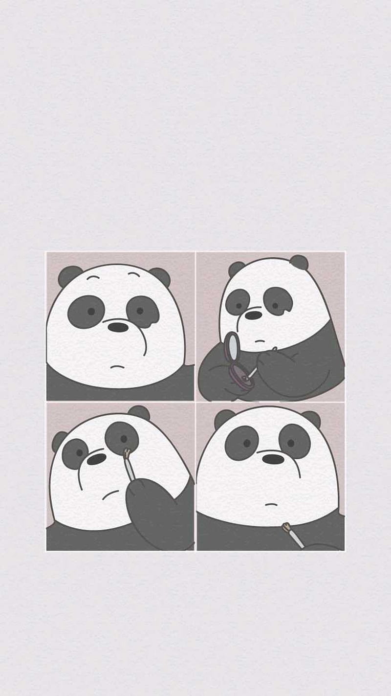 Supreme, bear, bears, brand, panda, white, HD phone wallpaper