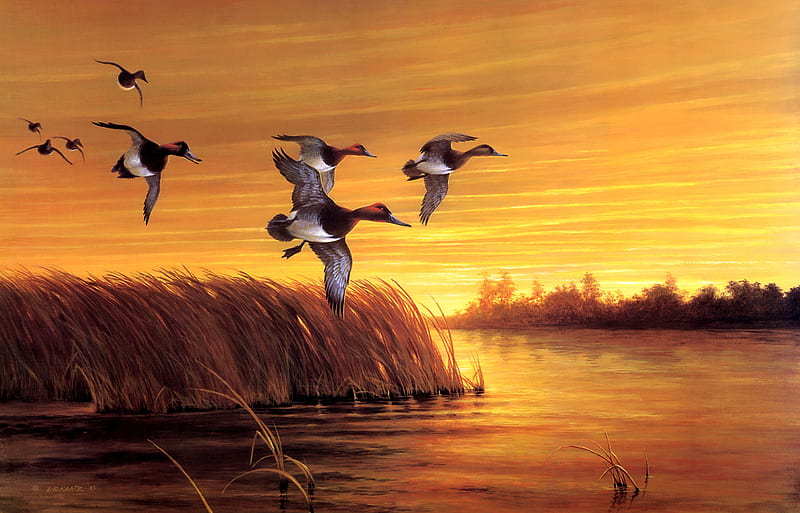 Ducks, duck, orange, painting, pictura, lake, art, l r kaatz, sunset, water, bird, pasari, HD wallpaper