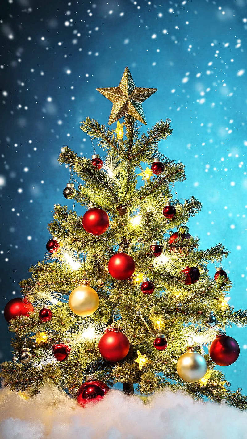 Christmas Tree, holiday, ornaments, snow, star, HD phone wallpaper