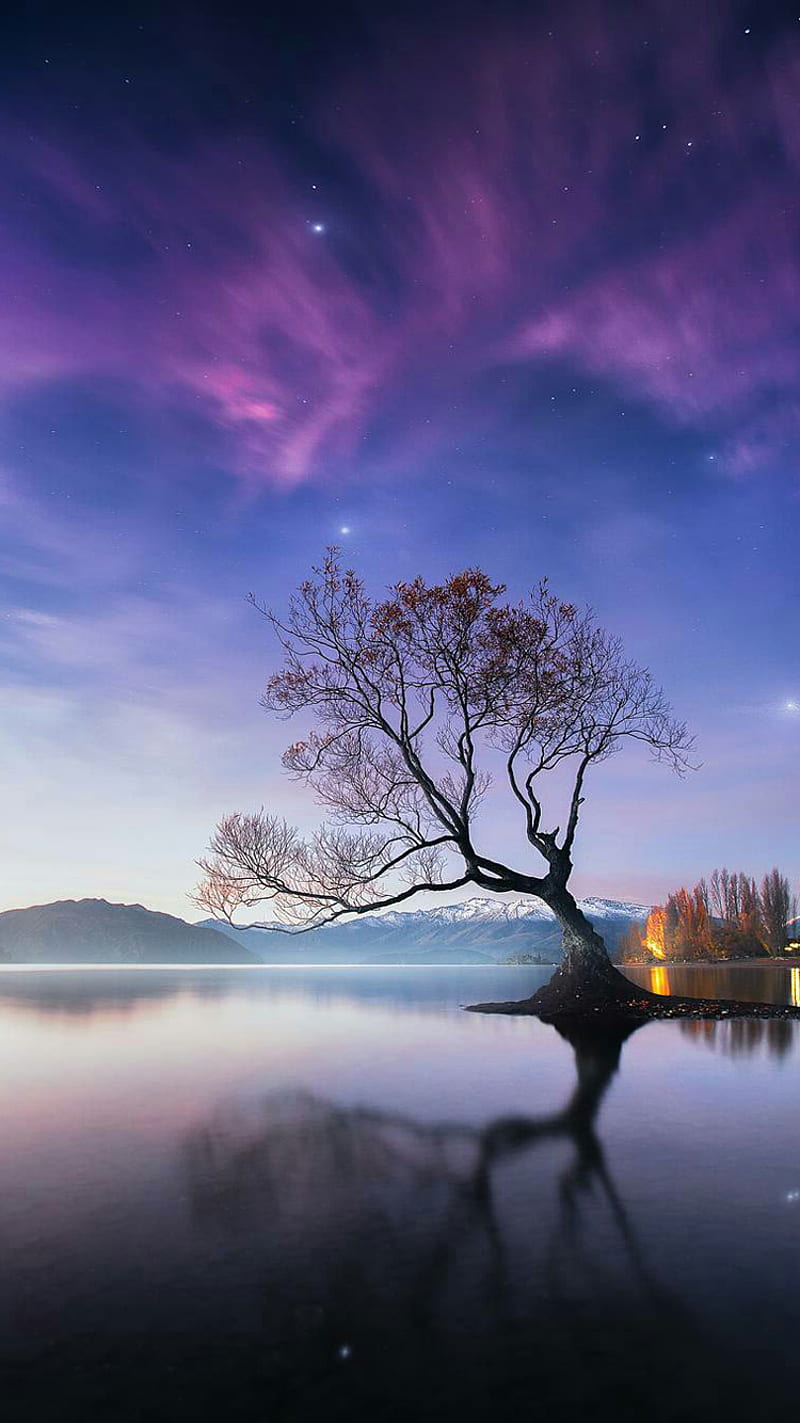 Scenery, lake, nature, sky, tree, water, HD phone wallpaper | Peakpx
