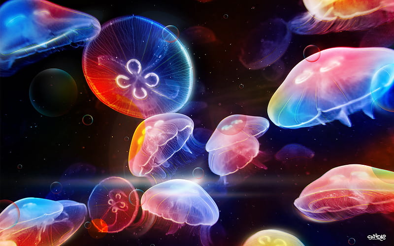 Undersea jellyfish dance PS design, HD wallpaper
