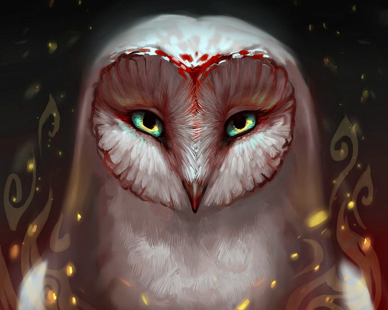 Owl, art, luminos, black, fantasy, bird, dark, white, eyes, night-owl-23, HD wallpaper