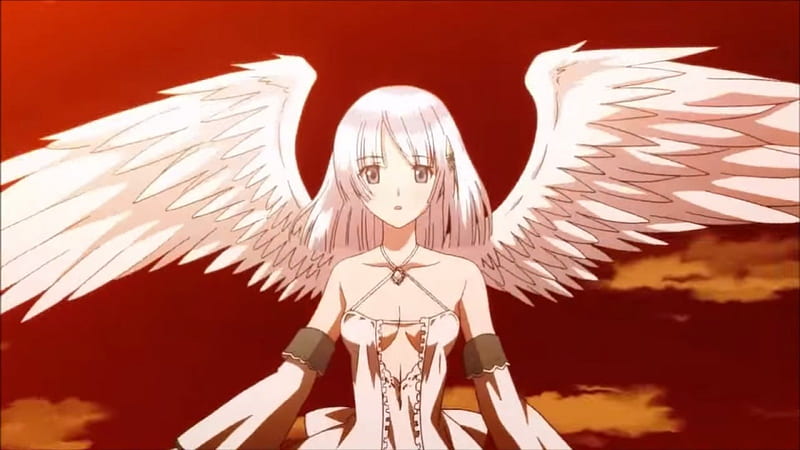 Panis Angelicus, pretty, dress, video game, game, bonito, wing, sweet, nice, shining ark, anime, feather, gloomy, hot, beauty, anime girl, long hair, female, wings, lovely, angel, gloom, sexy, rpg, girl, silver hair, HD wallpaper