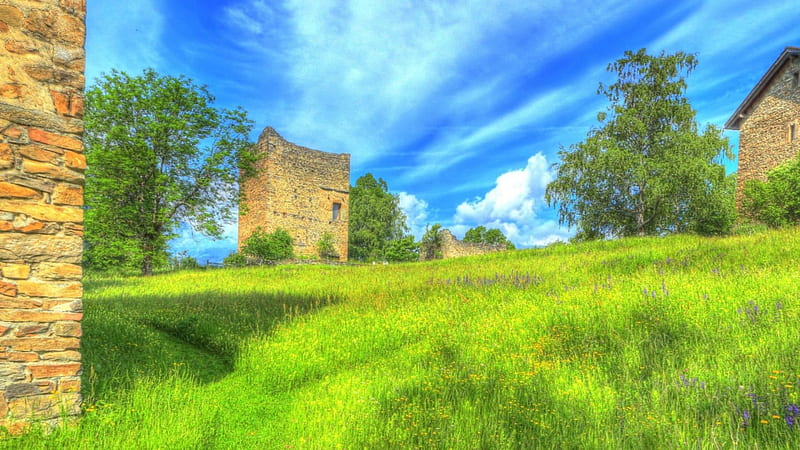 castle ruins on a grassy hill r, hills, stones, grass, ruins, r, castle, sky, HD wallpaper