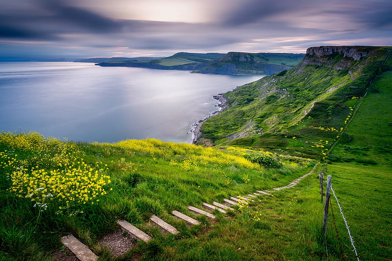 Earth, Coastline, Coast, England, Flower, Hill, Sea, Stairs, HD wallpaper