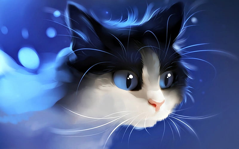 Cat, art, black, animal, fantasy, water, apofiss, bubbles, white, blue, HD wallpaper