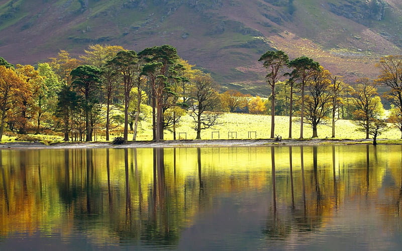 *** Lake and tree reflection ***, gory, jezioro, nature, drzewa, HD wallpaper